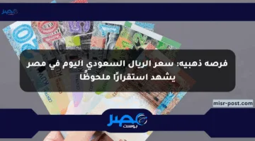 فرصة ذهبية: سعر الريال السعودي اليوم في مصر يشهد استقرارًا ملحوظًا